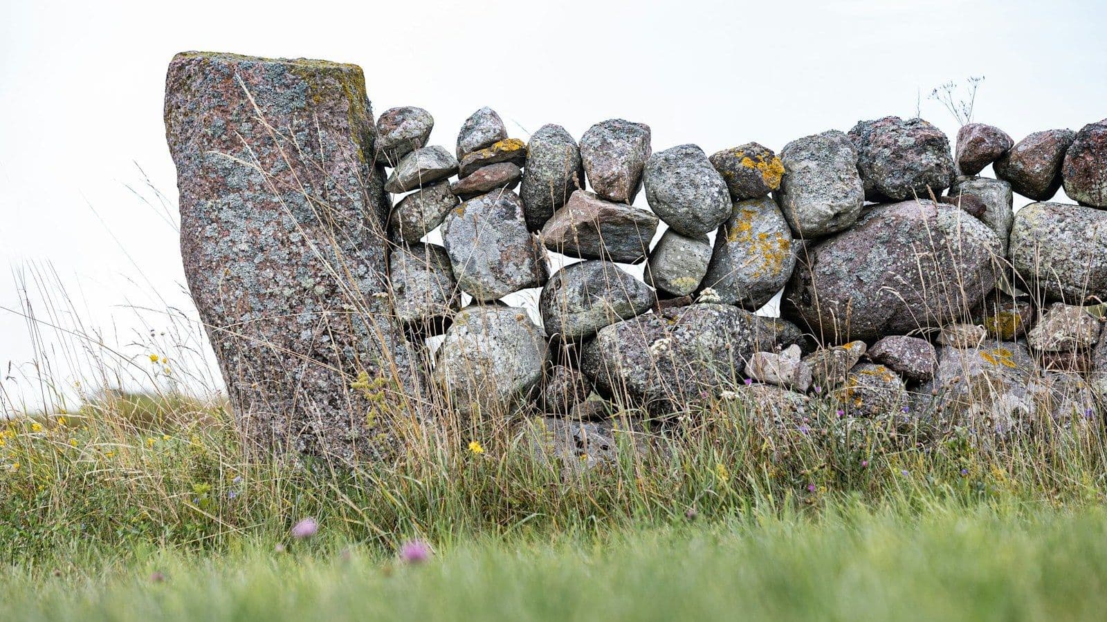 Cover image for Eleven Years of Weather