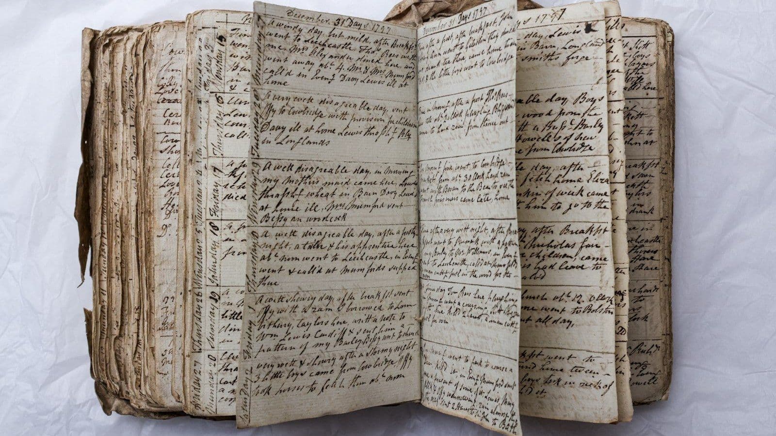 Cover image for Nine Dairies and Six Hundred Handbills
