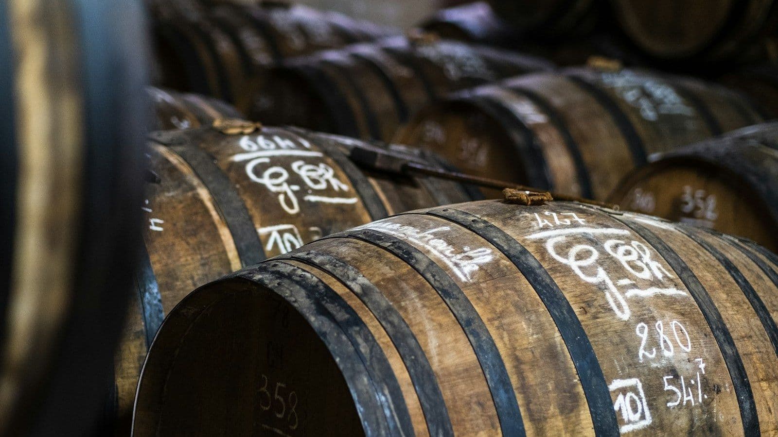 Cover image for The Answer in the Taproom