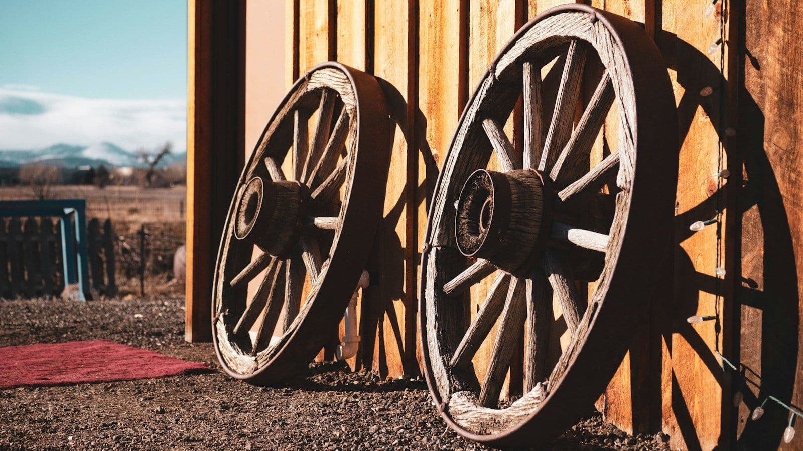 Cover image for The Cart Beside the Barouche