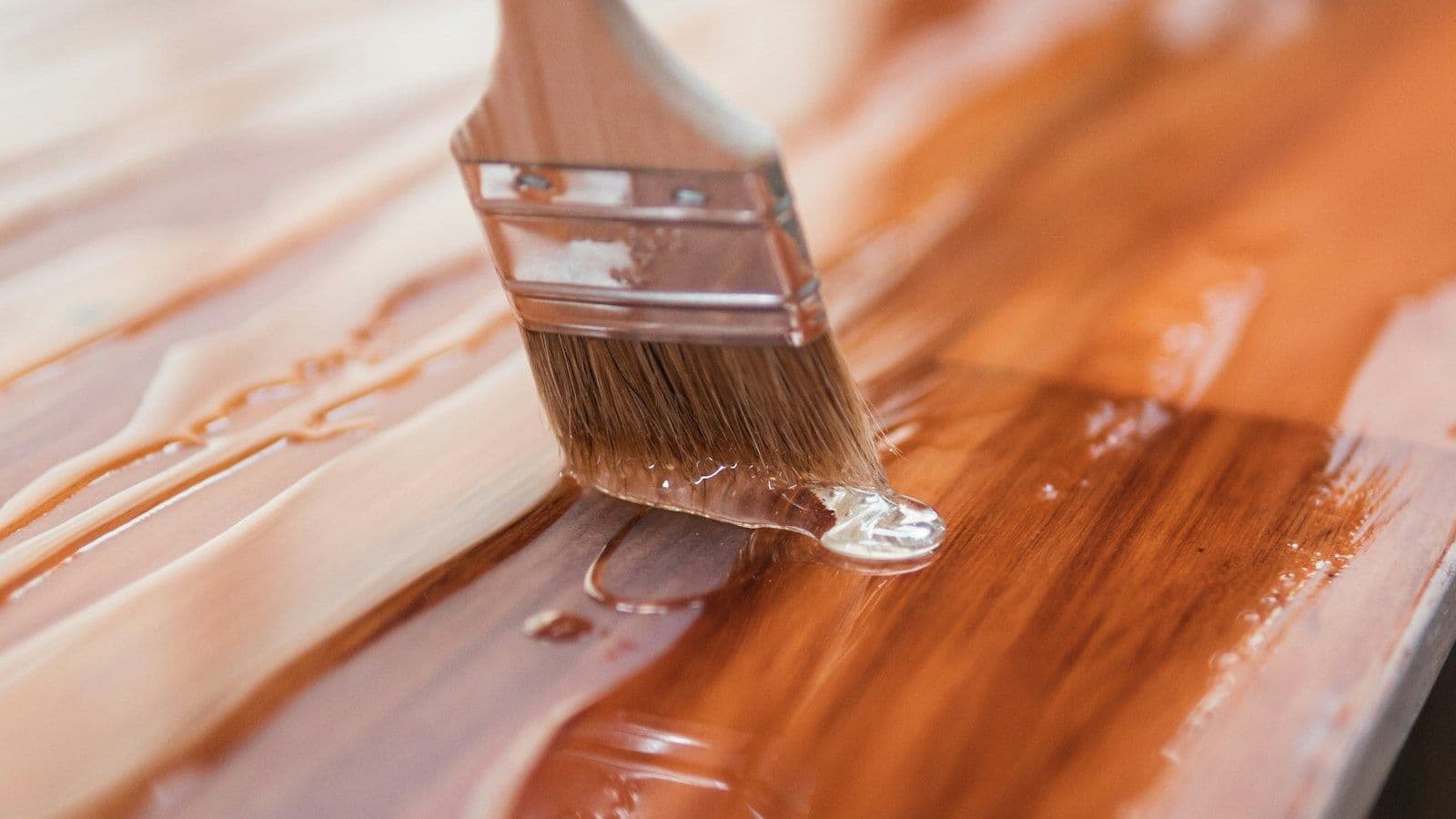 Cover image for The Brush He Put In